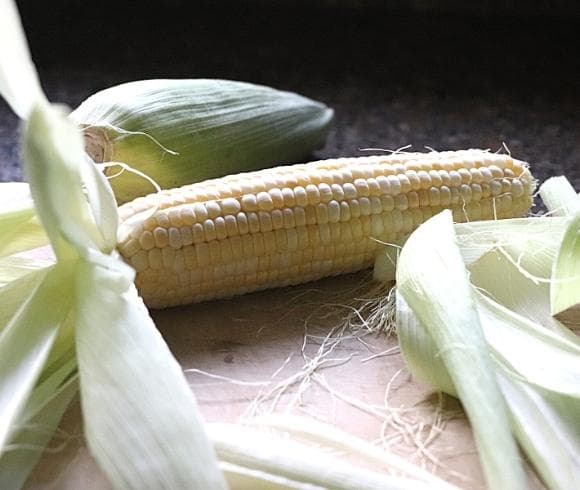 Old Fashioned Corn Chowder Recipe image showing fresh ear of corn surrounding by corn peels