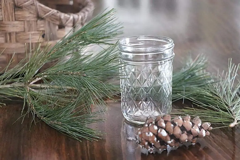 Pine Needle Tea {How To Identify, Forage, And Use} featured image showing mason jar on a wooden board with a pinecone and Eastern White Pine branches around it with corner of basket showing in upper left background