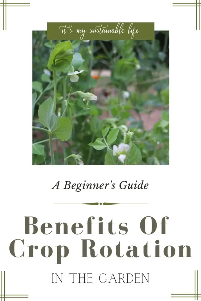 Benefits Of Crop Rotation pin created for Pinterest showing featured image of sugarsnap pea's along with a listing of the information about crop rotation