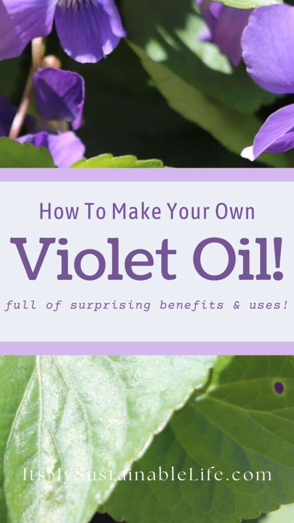 organic violet leaf essential oil