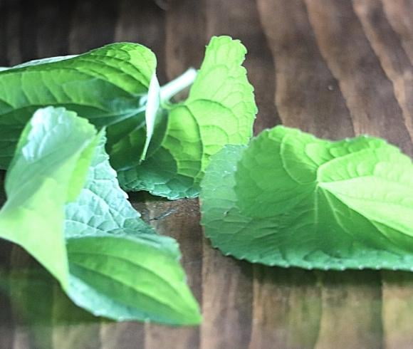 Violet Oil image showing three violet leaves resting on wooden board highlighted by light