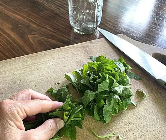 Violet Oil image showing cut up violet leaf with hand holding rolled up leaf ready to cut on cutting board with knife resting on the board and empty mason jar in top right corner