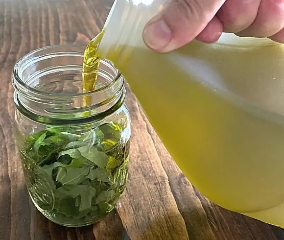 Violet Oil image showing mason jar 3/4 way full of cut up violet leaf resting on wooden counter being filled with extra virgin olive oil