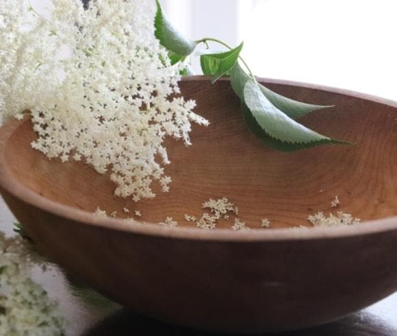 Elderflower tincture article image showing wooden bowl with white elderflower petals in it with an umbel of white elderflower on its stem with green leaves resting on the top edge of the bowl