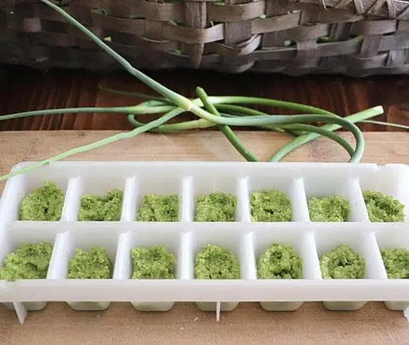 Garlic Scape Pesto Recipe in 1 tablespoon increments in white ice cube tray resting on wooden board with fresh green garlic scapes laying next to the white ice cube tray