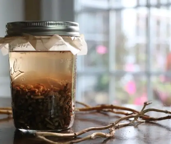 Stinging Nettle Root Tincture image showing jar of stinging nettle root tincture in mason jar cover with parchment paper and metal lid resting on wooden board with several fresh nettle roots laying next to the jar