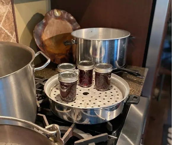Elderberry Jam Recipe image showing 4 jars filled with elderberry jam resting on uncovered steam canner with the top of the steam canner in the background