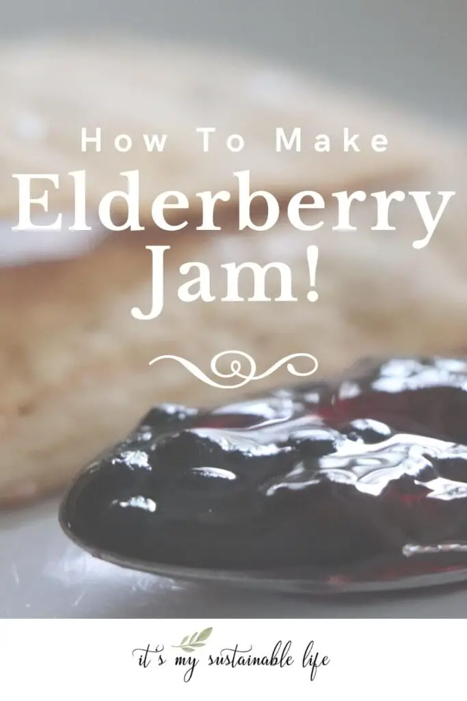 Elderberry Jam Recipe pin created for Pinterest showing spoon filled with elderberry jam with blurred crackers in the background along with title, Elderberry Jam Recipe in white letters overlayed