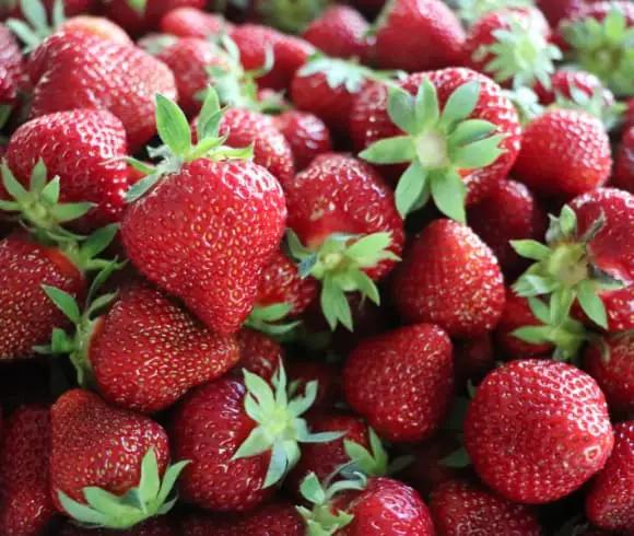 HOW TO EAT SEASONALLY {A GUIDE TO SEASONAL EATING} image showing closeup of freshly harvested red strawberries with green tops still attached