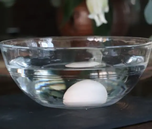 How To Test Eggs For Freshness {Egg Test For Freshness} image showing clear glass bowl filled half way with water with a single egg laying sideways in the bottom of the bowl