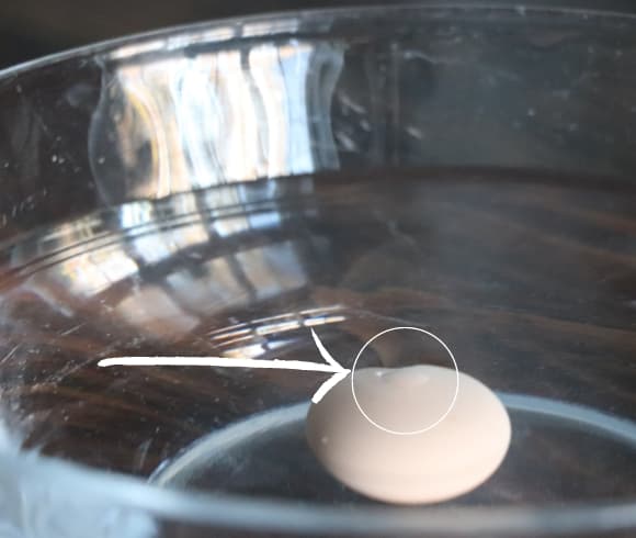 How To Test Eggs For Freshness {Egg Test For Freshness} image showing egg beginning to float in water in a clear glass bowl with white arrow pointing to the area where the egg is showing above the water line