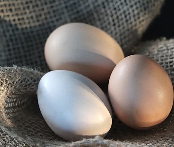 How To Test Eggs For Freshness {Egg Test For Freshness} image showing 3 fresh eggs laying amongst some burlap cloth