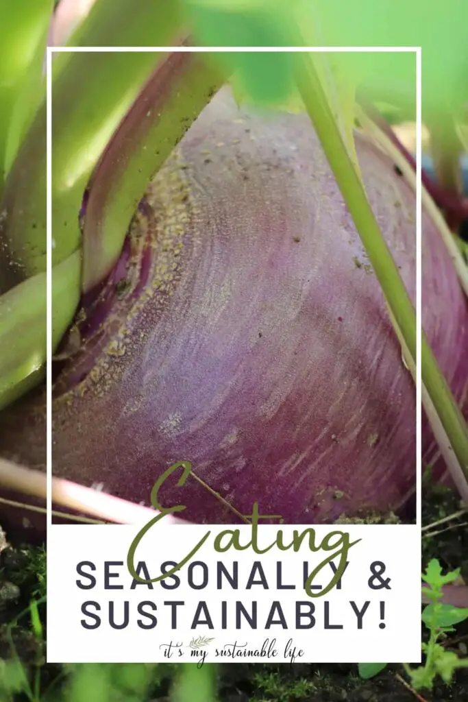 How to Eat Seasonally {A Guide To Seasonal Eating} pin created for Pinterest showing the featured image of the a purple turnip growing in the garden with a white thin boarder line around the image along with the article title