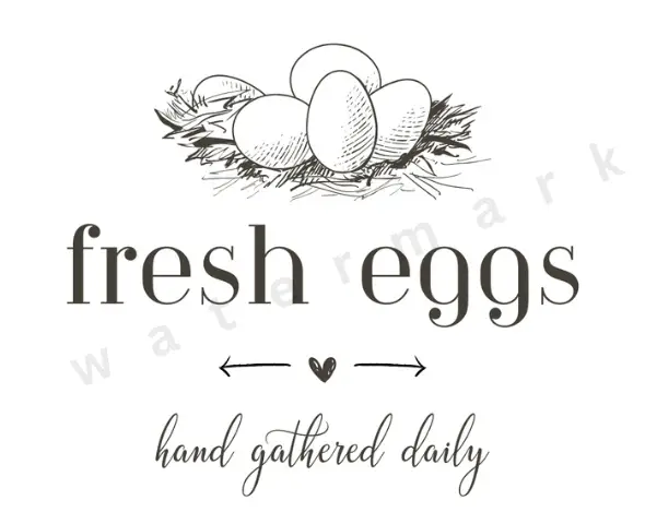What Food Group Are Eggs In It s My Sustainable Life what-food-group-are-eggs-in-it-s-my-sustainable-life