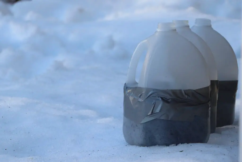 Winter Sowing In Milk Jugs featured image showing planted milk jugs resting on white snow