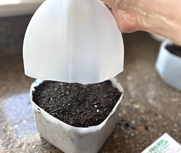 Winter Sowing In Milk Jugs image showing winter sowing milk jug being closed up after planted