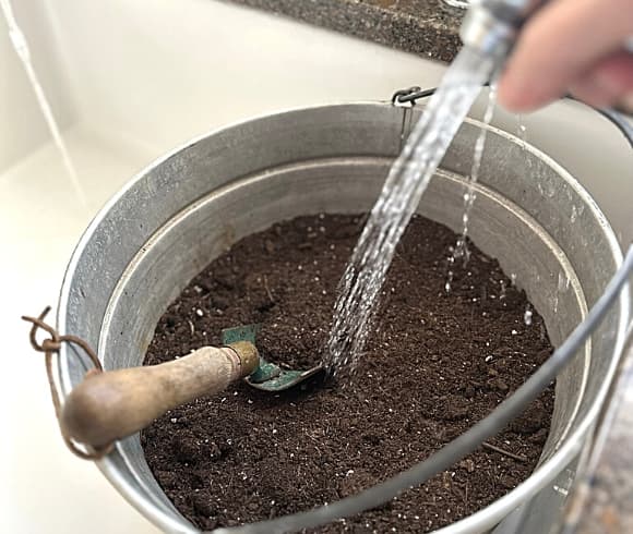 Winter Sowing In Milk Jugs image showing galvanized bucket of soil with a garden trowel in it with water pouring from faucet into it