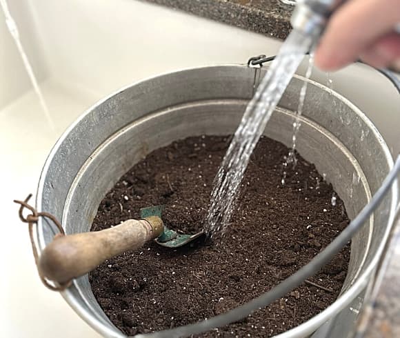 Winter Seed Sowing in Old Milk Jugs