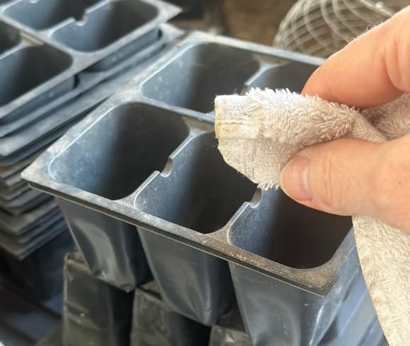How To Sanitize Seed Trays image showing hand holding rag wiping out debris and dirt from seed starting trays (cells), getting the seed starting equipment washed and ready to sanitize