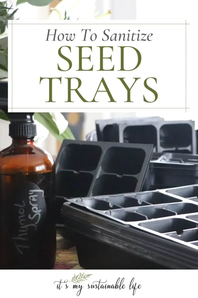 How To Sanitize Seed Trays pin created for Pinterest showing featured image of spray bottle filled with a homemade thymol spray disinfectant with seed starting trays and seed starting planting cells beside the amber colored bottle