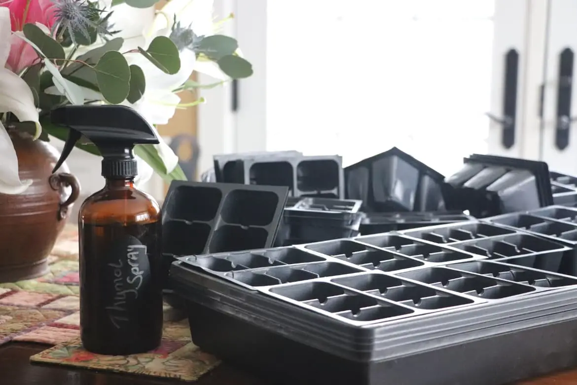 https://www.itsmysustainablelife.com/wp-content/uploads/2023/02/How-To-Sanitize-Seed-Trays-5.jpg
